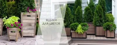 Деревянные ящики кашпо для цветов (ID#1400764996), цена: 4000 ₴, купить на  Prom.ua