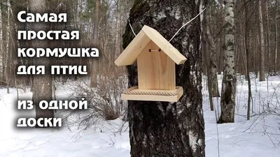 Сувениры из дерева под нанесение логотипа: самосборная кормушка для птиц  DIY, 13,1 х 17,6 х 17,3 см, натуральный — купить кормушки по цене 581 руб  (a532854) с печатью логотипа | 100SUVENIROV.RU