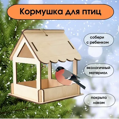 Сад, терраса :: Кормушки, поилки, домики для птиц :: Кормушка для птиц  \"Home\"
