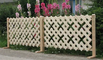 Деревянный забор: лучшие идеи по созданию эффективной и красивой ограде для  участка (125 фото) | Landshafblog - все о ландшафте! | Дзен
