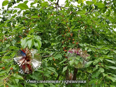 Дерево искусственное Черешня (вишня). Плоды напоминают натуральные ягоды