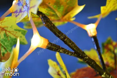 японский клен осеннее дерево обои, осенние листья на хоккайдо красивый клен,  Hd фотография фото фон картинки и Фото для бесплатной загрузки