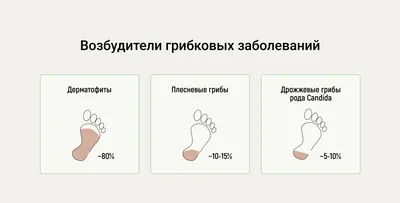 Лечение грибка ногтей у подолога. Как быстро вылечить грибок ногтей? |  Подолог | Ева Корнеева | Дзен