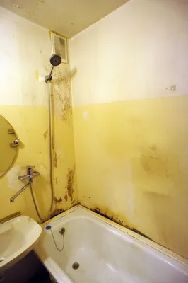Дешевый ремонт ванной комнаты под ключ в Спб