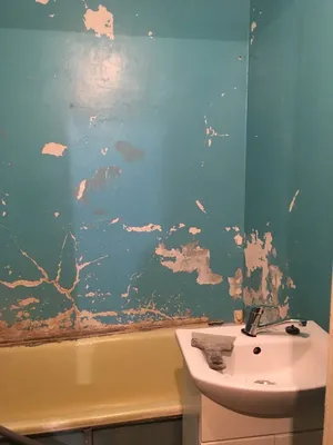 Ванная комната дешево и красиво своими руками - бюджетный ремонт в ванной  (65 фото)
