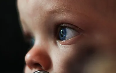 Цвет глаз ребенка и родителей - как определить | РБК Украина