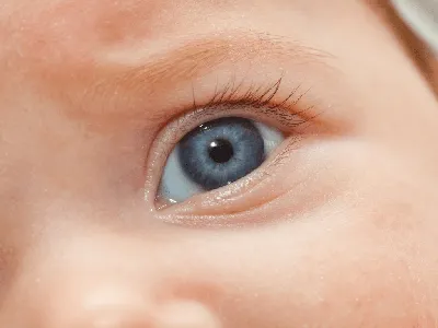 Малыши с зелеными глазами (55 фото)