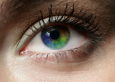 Зеркало души: что цвет глаз говорит о вашем характере | MARIECLAIRE