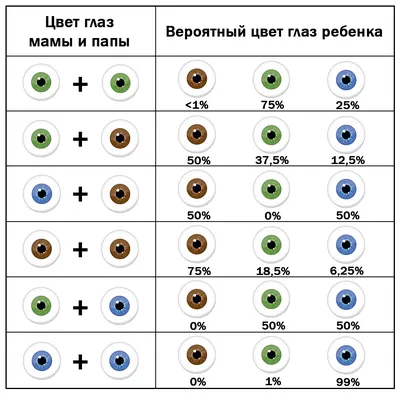 Как получается разный цвет глаз у людей?