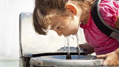Польза игр на воде для детей. Факты