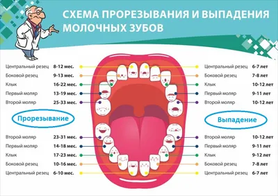 Серебрение кариеса молочных зубов у детей, цена в Москве