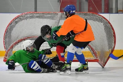 В Перми может появиться детский следж-хоккей - Федерация адаптивного хоккея