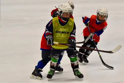Детский хоккей в Сургуте остался без финансирования - Новостной портал  UGRA-NEWS.RU