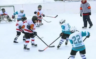Детский и юношеский хоккей с шайбой планируют развивать в Иркутске