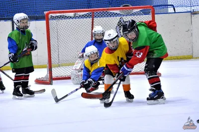Региональное физкультурное мероприятие «Хоккей – детям» — Мероприятия —  Департамент по молодежной политике, физической культуре и спорту Томской  области