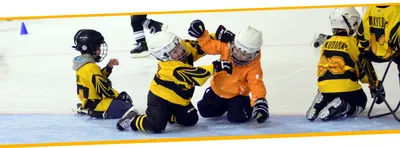 ЛАЙНСТУР — туры:Детские международные турниры по хоккею - :