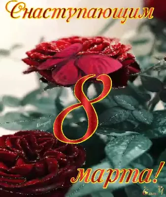 девочкис8марта #моимдрузьям#8марта#поздравляю#8марта2021 | TikTok