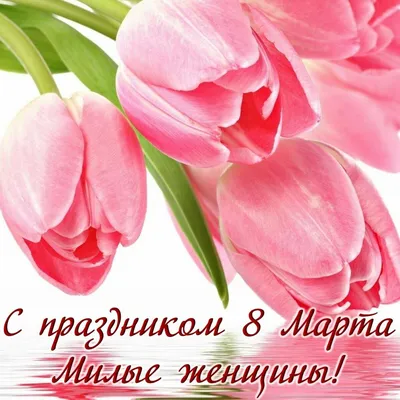 Дорогие наши женщины, девушки, девочки! Искренне поздравляем Вас с  праздником весны, с 8 Марта! - Зелёная Точка Старта