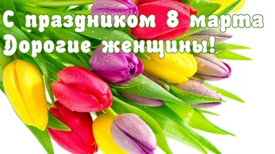 Дорогие женщины! Поздравляем Вас с 8 марта!