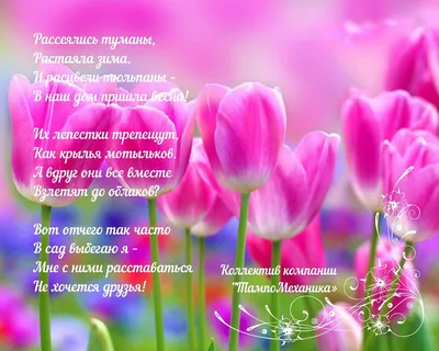 Милые женщины, поздравляем Вас с наступающим 8 Марта! - новости, последние  события и акции компании Арча-Сервис