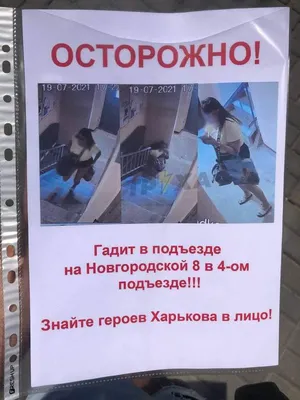 Красивая девушка позирует в джинсах - Coub - The Biggest Video Meme Platform