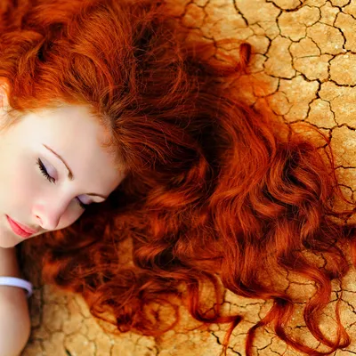 Красивая женщина с рыжими волосами на белом фоне, вид сзади :: Стоковая  фотография :: Pixel-Shot Studio