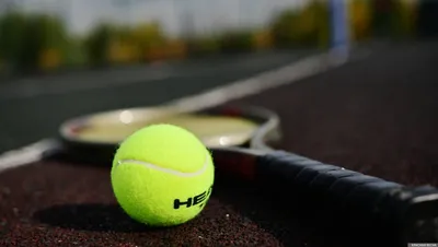 Виталия Дьяченко зачехлила ракетку в первом круге турнира в Праге | ИА  Красная Весна