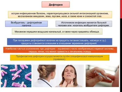 Дифтерия: что это такое, возбудитель, профилактика, симптомы, лечение и  формы