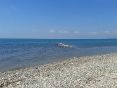 О тихих пляжах побережья Кубани - МК Сочи