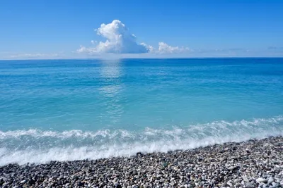 Пляж и дюны Черного моря. Жаркий летний день. Дикие места нашей планеты.  Украина Стоковое Фото - изображение насчитывающей океан, бечевник: 181549148