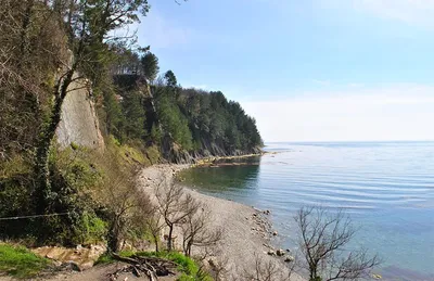 Приморский пляж Туапсе. Фото, видео, жилье рядом, пляж на карте и как  добраться – Туристер.Ру