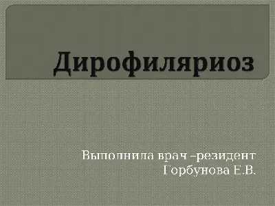 Дирофіляріоз у собак та котів - Ексвет