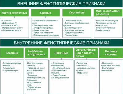 Дисплазия соединительной ткани | Доктор Гульнара Мазитова | Дзен