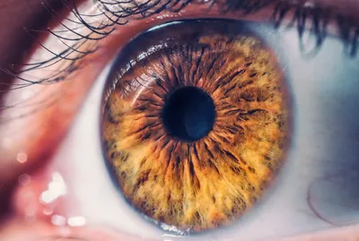 Дистрофии сетчатки глаза - классификация, симптомы и лечение