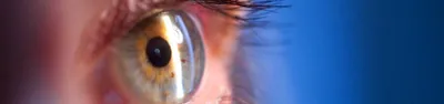 Дистрофия сетчатки глаза: что это, причины, симптомы, современные подходы к  диагностике и лечению