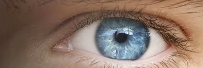 Роговица глаза: функции, основные заболевания