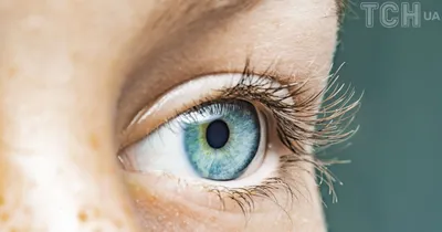 Лечение дистрофии сетчатки глаза (возрастная, старческая) в клинике ММЦ ОН  КЛИНИК