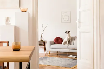 Как выбрать диван в гостиную: модный, практичный, красивый | Блог Pufetto