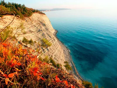 Курортное село Дивноморское. Деловая Кубань — бизнес-портал Краснодарского  края