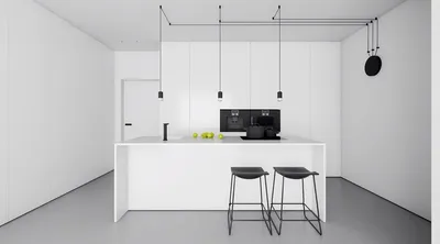 Черно-белая кухня - дизайн интерьера (52 фото)