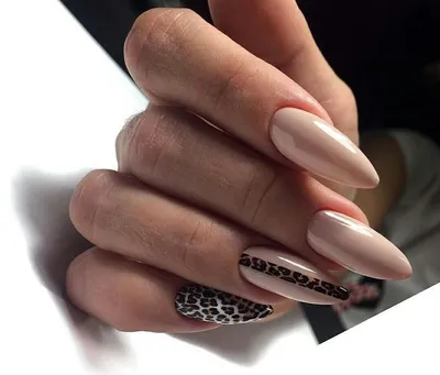 1, 2, 3? Какой? 🐆🔥 #ногти #маникюр #идеиманикюра #дизайнногтей #гельлак  #шеллак #шиллак #леопардовыйманикюр #леопардовыйпринт #леопард… | Instagram