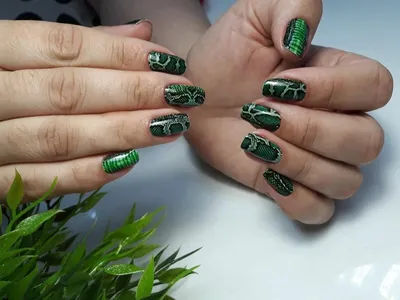 nails_by_chevron змея на ногтях | Изумрудные ногти, Дизайнерские ногти,  Ногти | Stylish nails art, Stylish nails, Fashion nails