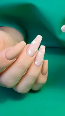 Fashion Nails слайдер-дизайн № G76 - Цветы за 100 руб купить в  интернет-магазине KOKETKA Beauty Shop