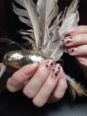 Перья для дизайна ногтей BornPrettyStore 5pcs Fancy Feather Nail Art  Decoration-12 colors - «Настоящие перышки на ногтях! (+фото, +видео)» |  отзывы