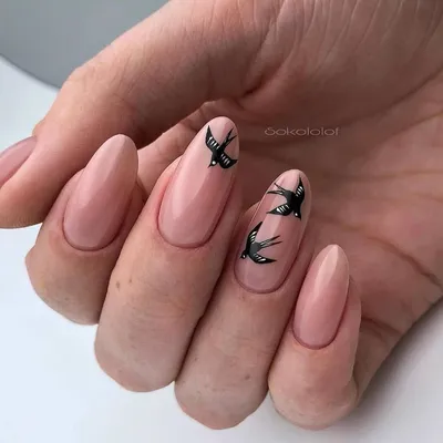Птички на ногтях: белый френч с 3d дизайном