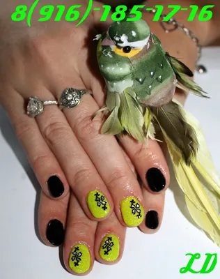 LAQUE слайдер дизайн для ногтей WB-06, птицы купить по лучшей цене в  Украине | ⭐ShineShop⭐