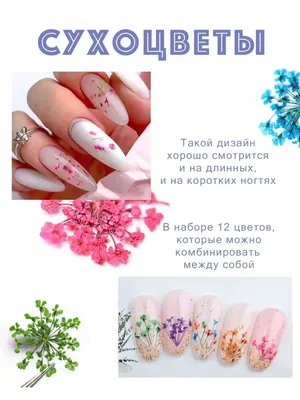 Linaart.nail | Дизайн ногтей с сухоцветами и прозрачным свободным краем ✨  Красивый летний вариант маникюра подойдет не только на длинные ногти, но и  для ногтей средней длины) | Дзен