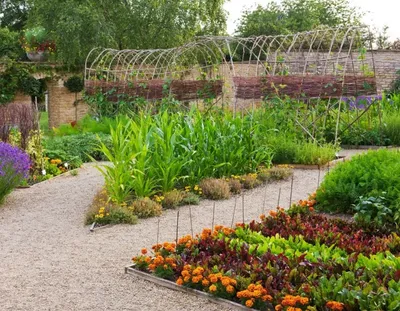 Участки и сады – 135 лучших фото, ландшафтный дизайн участка, сада и огорода  | Houzz Россия