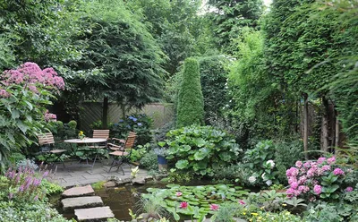 Дизайн огорода и сада частного дома (73 фото) » НА ДАЧЕ ФОТО
