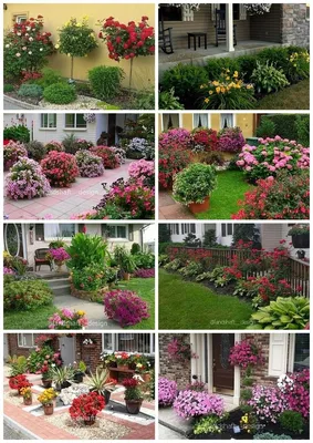 Ландшафтный дизайн сада перед домом, красивый палисадник, идеи оформления,  фото